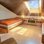 Apartamento Anja Seeblickappartement Haus Haensel U Gretel Am Ossiacher See, Hallenbad, Skiarena Gerlitzen *