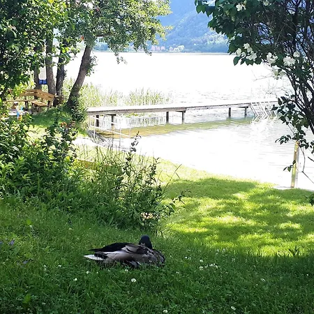 Anja Seeblickappartement Haus Haensel U Gretel Am Ossiacher See, Hallenbad, Skiarena Gerlitzen 슈타인도르프암오시아쳐시